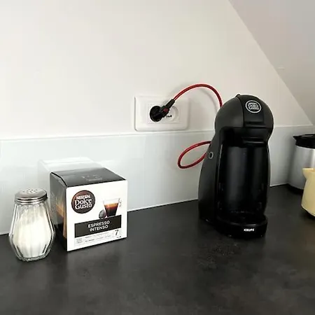 Apartment F5 Maison De Maitre Mulhouse
