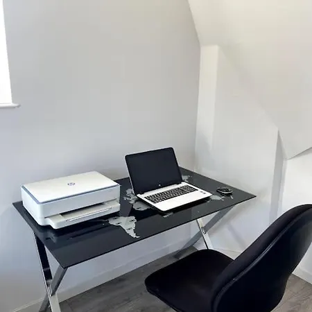 Daire F5 Maison De Maitre Mulhouse